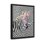 The Zebra | Framed Gallery Canvas Wrap