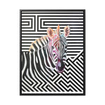 The Zebra | Framed Gallery Canvas Wrap