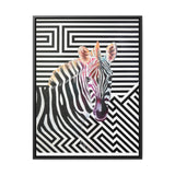 The Zebra | Framed Gallery Canvas Wrap