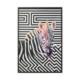 The Zebra | Framed Gallery Canvas Wrap